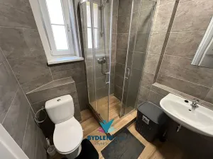 Prodej bytu 1+1, Teplice, 14. října, 42 m2