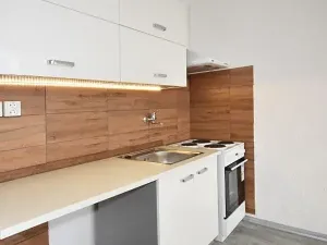 Pronájem bytu 1+kk, Chomutov, Seifertova, 22 m2