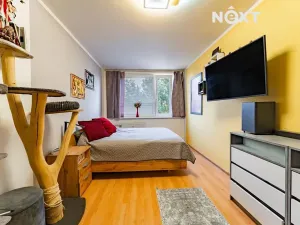 Prodej bytu 2+kk, Zábřeh, Na Nové, 43 m2