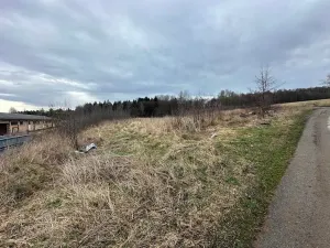 Prodej komerční nemovitosti, Jedlová, 1346 m2