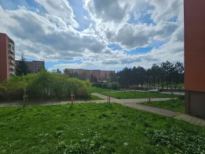 Pronájem bytu 2+1, Brno, Oderská, 57 m2