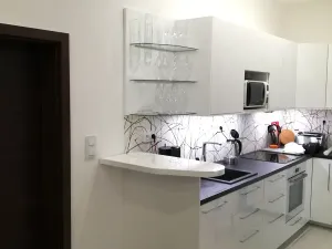 Pronájem bytu 2+kk, Praha - Nusle, Svatoplukova, 48 m2