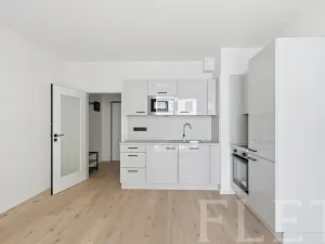 Pronájem bytu 1+kk, Praha - Vršovice, Krymská, 23 m2