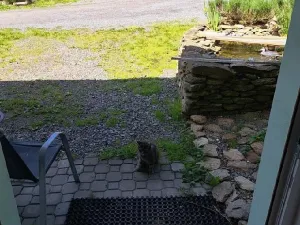 Pronájem bytu 1+kk, Jámy, 30 m2