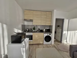 Prodej bytu 2+kk, Liberec, Oldřichova, 36 m2