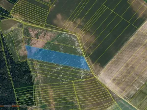 Prodej pole, Džbánice, 29834 m2