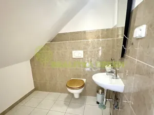 Pronájem rodinného domu, Neubuz, 218 m2