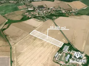 Prodej pole, Cholenice, 19500 m2