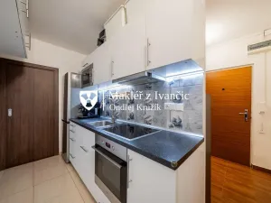 Prodej bytu 1+1, Ivančice, Luční, 36 m2