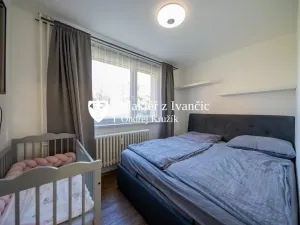 Prodej bytu 1+1, Ivančice, Luční, 36 m2