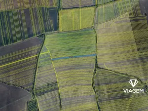 Prodej podílu pole, Kněždub, 380 m2