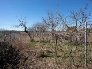 Dražba rodinného domu, Dolní Dunajovice, Polní, 490 m2