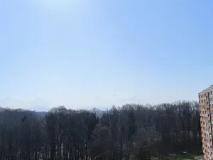 Pronájem bytu 1+1, Ostrava, Srbská, 40 m2