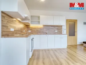 Pronájem bytu 1+kk, Plasy, U Václava, 42 m2