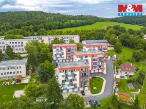 Pronájem bytu 1+kk, Plasy, U Václava, 42 m2