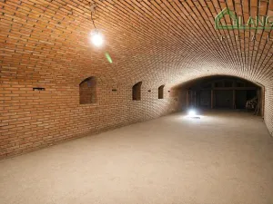 Pronájem obchodního prostoru, Brno, Benešova, 160 m2