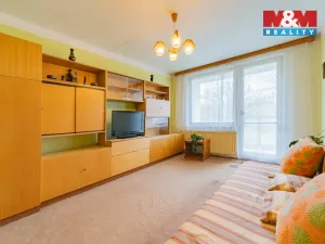 Prodej bytu 2+1, Cheb, Přátelství, 59 m2