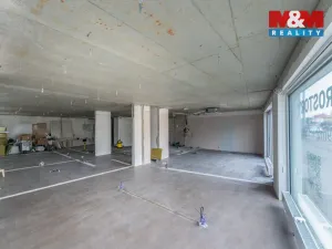 Pronájem obchodního prostoru, Praha - Břevnov, Bělohorská, 168 m2