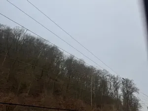 Prodej lesa, Ústí nad Labem, 41840 m2