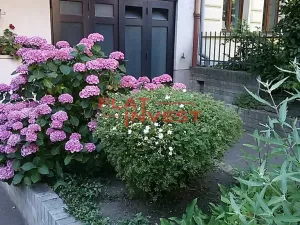 Pronájem bytu 4+kk, Praha - Bubeneč, Ovenecká, 130 m2