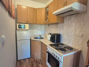 Prodej bytu 1+kk, Beroun - Beroun-Město, Nad Paloučkem, 38 m2