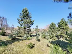 Prodej pozemku pro bydlení, Popůvky, 971 m2