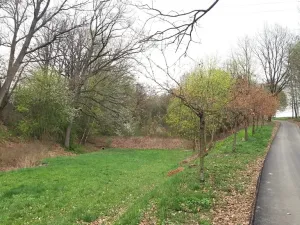 Prodej louky, Bludov, 2277 m2