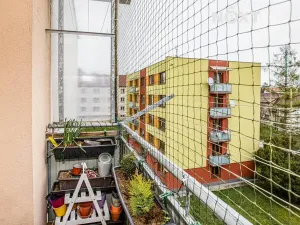 Prodej bytu 3+1, Borovany, Nová, 65 m2