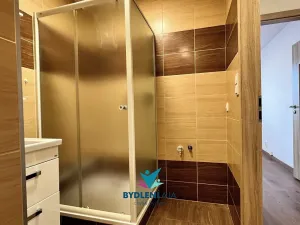 Pronájem bytu 1+kk, Teplice, Krušnohorská, 34 m2