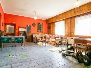 Prodej ubytování, Horní Slavkov, Kounice, 1200 m2