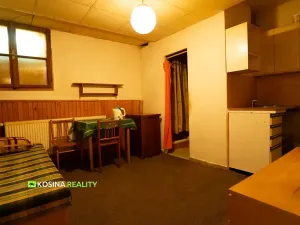 Prodej ubytování, Horní Slavkov, Kounice, 1200 m2