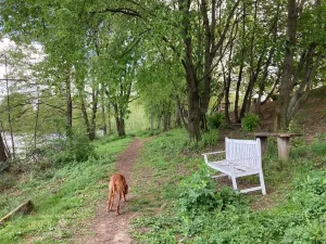 Pronájem bytu 2+kk, Říčany, Leknínová, 50 m2