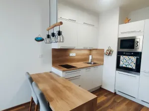 Pronájem bytu 1+kk, Olomouc, Šantova, 28 m2