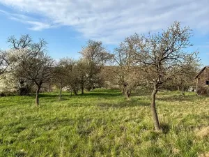 Prodej rodinného domu, Veverská Bítýška, Dlouhá, 820 m2