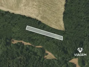 Prodej lesa, Těškovice, 1309 m2