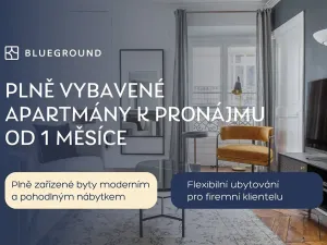 Pronájem bytu 1+kk, Praha - Bubeneč, Veletržní, 30 m2