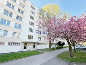 Pronájem bytu 1+kk, Pardubice, Bělehradská, 34 m2