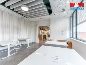 Pronájem obchodního prostoru, Praha, Jihlavská, 30 m2