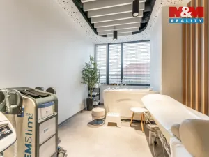 Pronájem komerční nemovitosti, Praha, Jihlavská, 30 m2