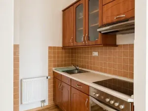 Pronájem bytu 5+1, Lenešice, 171 m2