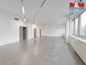 Pronájem kanceláře, Plzeň - Severní Předměstí, alej Svobody, 198 m2