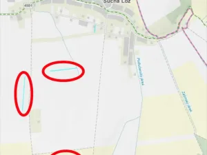 Prodej pole, Suchá Loz, 8377 m2