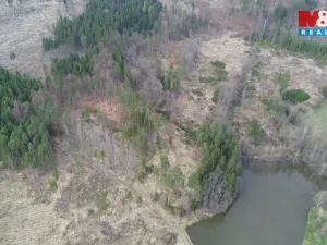 Prodej lesa, Mrákotín, 7873 m2