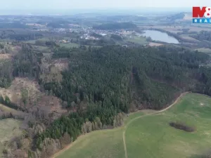 Prodej lesa, Mrákotín, 7873 m2