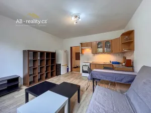 Pronájem bytu 2+kk, Teplice, Habrová, 43 m2