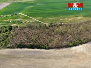 Prodej lesa, Mochov, 4629 m2