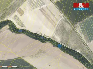 Prodej lesa, Mochov, 4629 m2