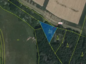 Dražba lesa, Chotěbudice, 529 m2