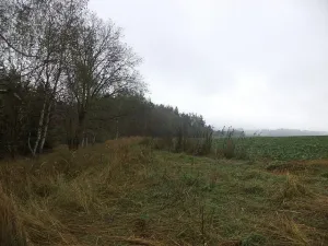 Prodej pozemku, Peč - Urbaneč, 7060 m2