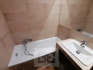 Pronájem bytu 1+1, Ostrava, Sokolovská, 40 m2